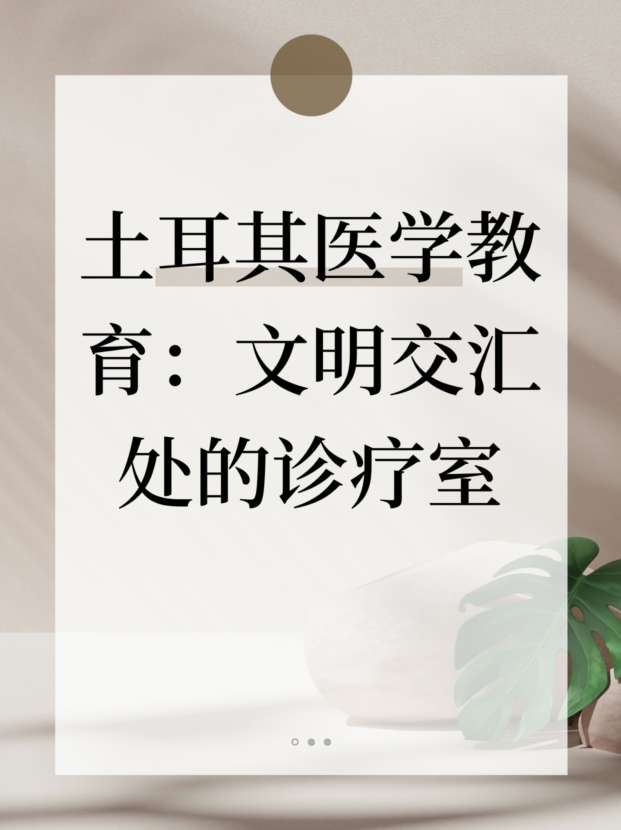 未命名__2025-04-19+15_17_26.jpg